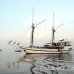 dancer_komodo_h_0012_kom1130.jpg